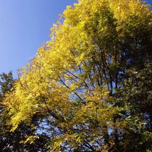 Le Sundgau - The Sundgau - Der Sundgau