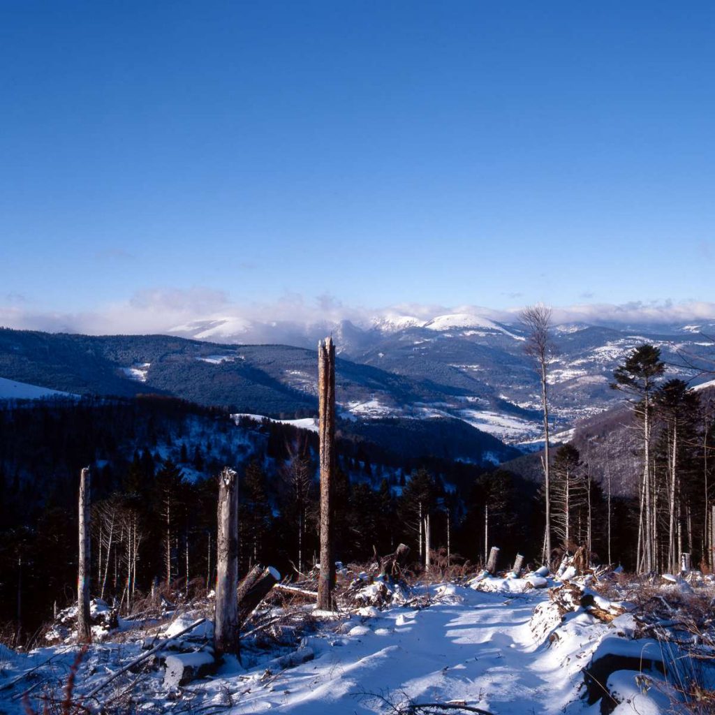 Les dégâts de la tempête de1999
