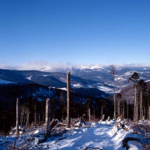 Les dégâts de la tempête de1999