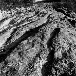 Hommage à Brassaï pour ses images de grafittis
