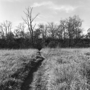 "Le retour" Vers le grand canal d'Alsace