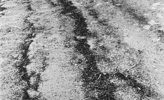 Les courbes sur la plage aux cygnes