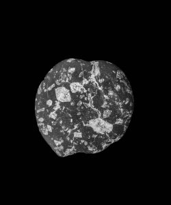 Portraits-des-galets-18-creation-2019-08