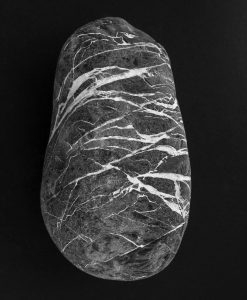 Portraits-des-galets