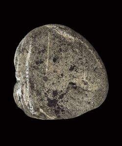 Portraits-des-galets