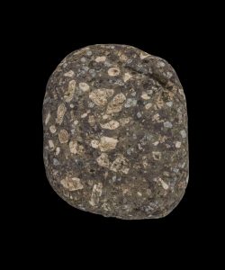 Portraits-des-galets