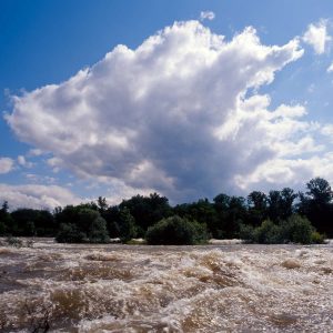 Le Rhin en crue, Istein, 21 juin 2007