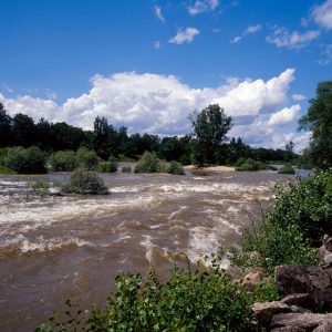 Le Rhin en crue, Istein, 21 juin 2007