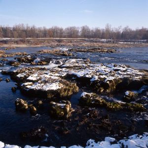 -Istein-janvier-2007