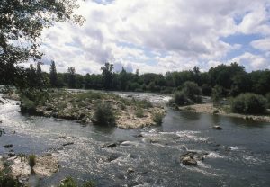 Au Bord du Rhin-Alsace-Mathieu-Birckel