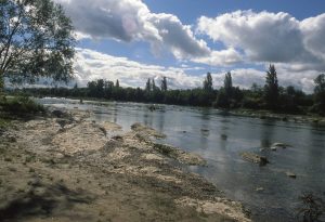 Au Bord du Rhin-Alsace-Mathieu-Birckel