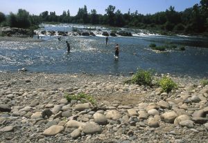 Au Bord du Rhin-Alsace-Mathieu-Birckel