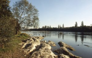 Au Bord du Rhin-Alsace-Mathieu-Birckel