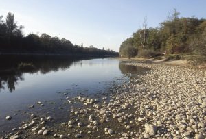 Au Bord du Rhin-Alsace-Mathieu-Birckel