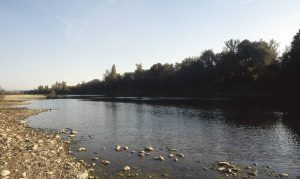 Au Bord du Rhin-Alsace-Mathieu-Birckel