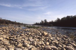 Au Bord du Rhin-Alsace-Mathieu-Birckel