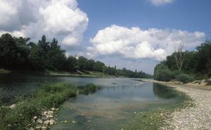 Au Bord du Rhin-Alsace-Mathieu-Birckel