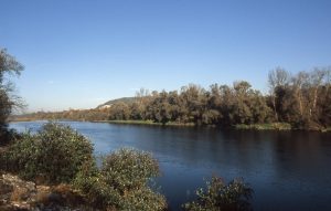 Au Bord du Rhin-Alsace-Mathieu-Birckel